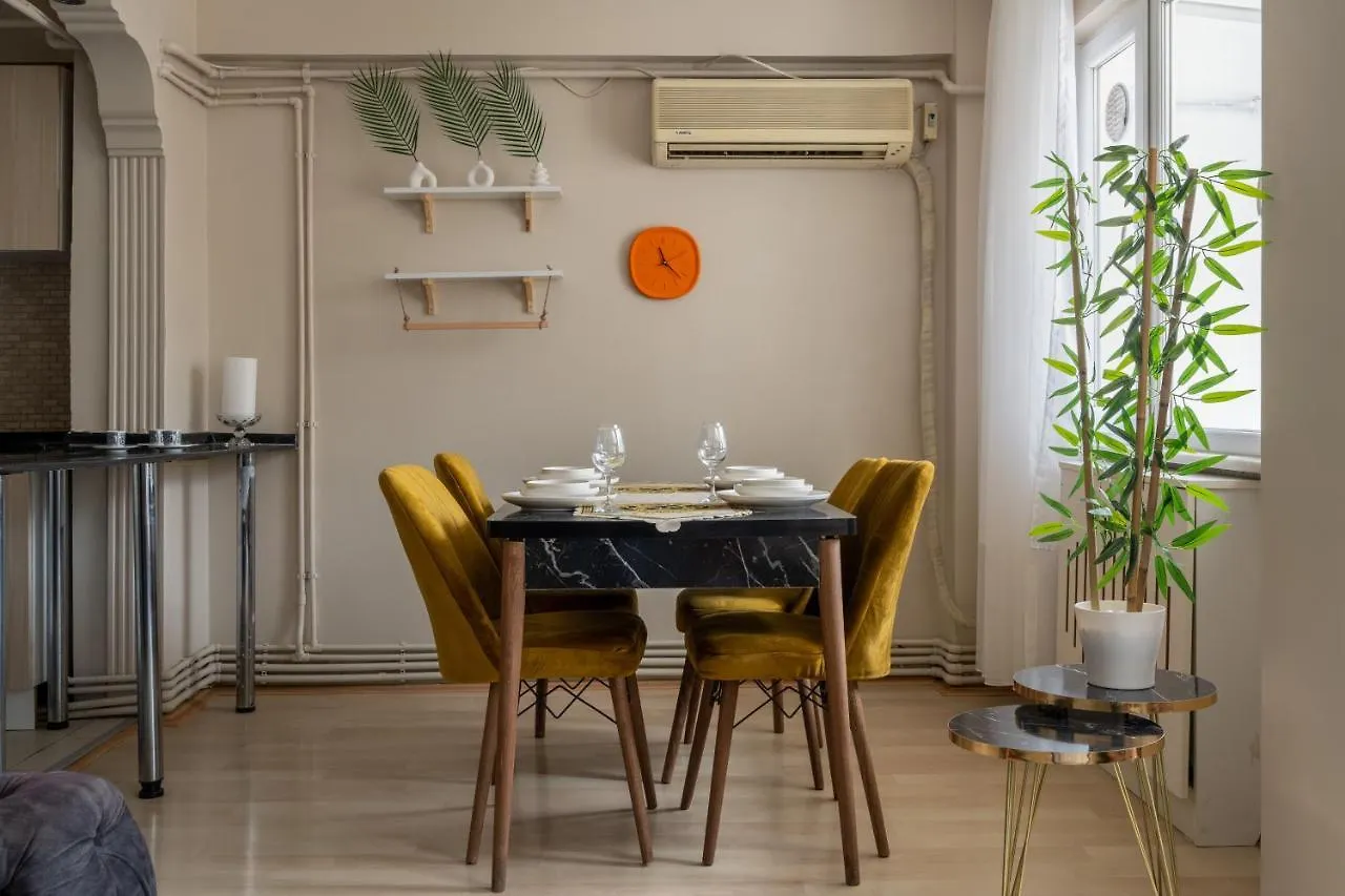 Besiktas And Sisli Luxury Central Flat Istanbul Turkey