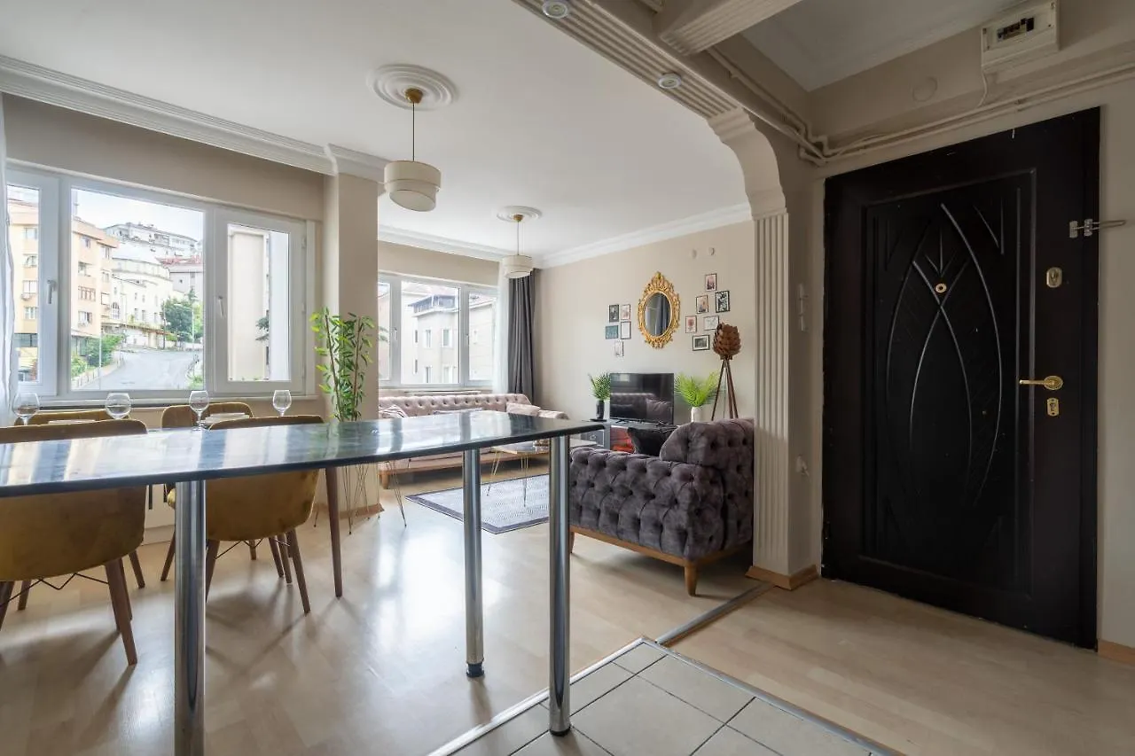 Besiktas And Sisli Luxury Central Flat Istanbul Turkey